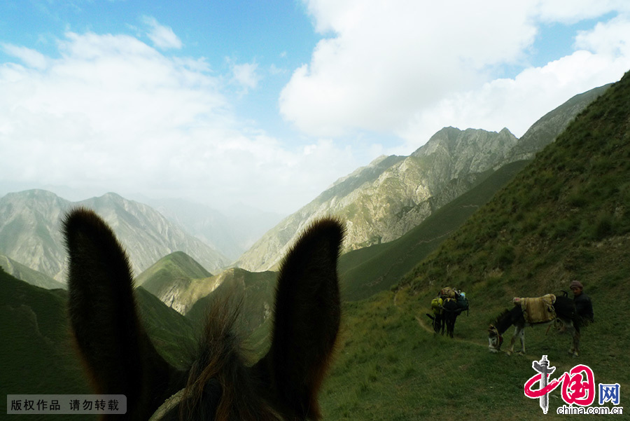 在昆仑山深处，海拔五千米的阿勒玛斯玉矿区已有100多年的历史，百年来，毛驴是进山的唯一交通工具。