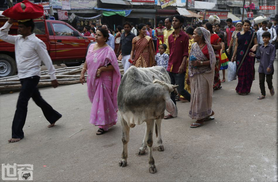 虔诚如斯——恒河祭祀目击记