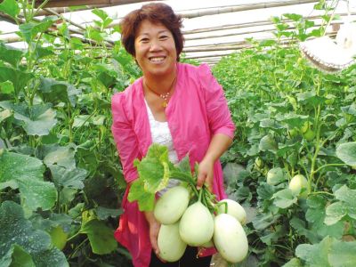 原阳县靳堂乡郝庵村成立的农民合作社种植了200余亩大棚甜瓜，一年两季收获甜瓜，每亩可收入3000多元。