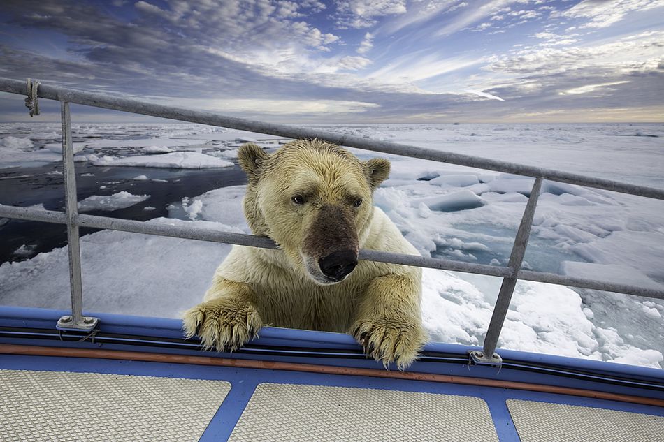 俄媒盘点2014世界30个'不思议'瞬间