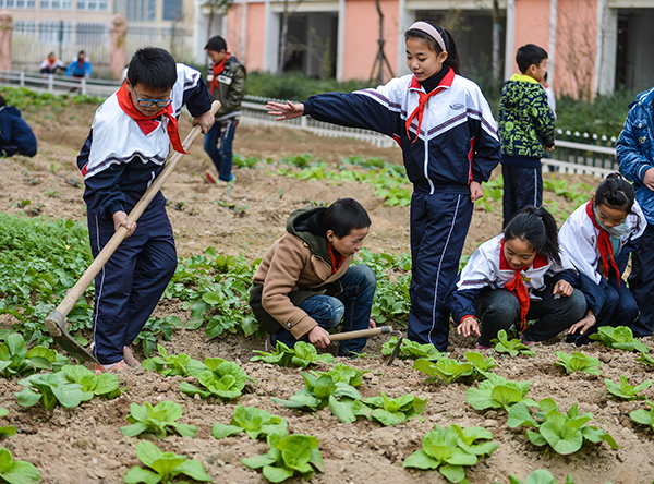 民工子弟学校建起“生态农场”