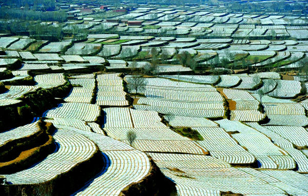 甘肃农民人均纯收入十一连增_中国发展门户网