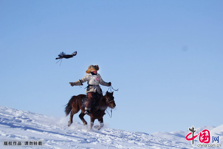 猎鹰是哈萨克族特有的传统文化遗产。图为一名骑者纵马飞奔，猎鹰飞驰而下。中国网图片库 朱新峰/摄