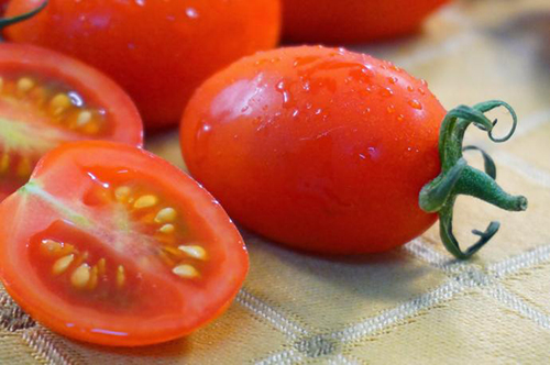 小番茄是转基因食品 吃多了会致癌?_中国发展