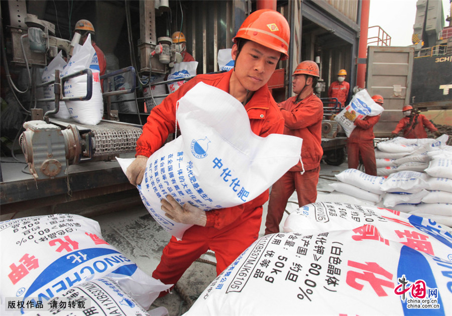 为了赶船期，卸运化肥需要抢时间，一个人一个班次需要搬运20吨。中国网图片库 王建民/摄