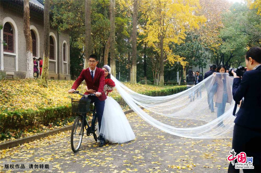 [老照片]結婚照：跨越時代的幸福瞬間