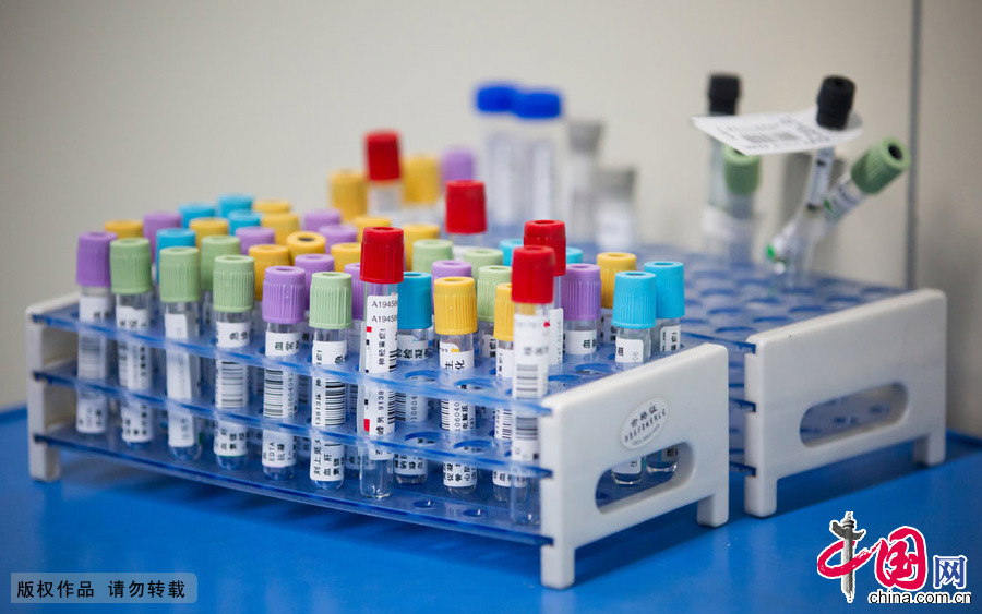  2015年2月7日，郑州，每个病人病情不同，需要的药物与检查种类也不同，护士必须熟悉每个病人的医嘱要求，依方行事，丝毫不能懈怠。 图片来源：CFP