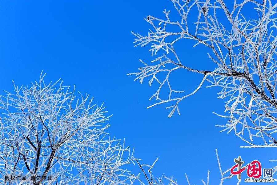  库尔滨水库的水电站每天发电都要释放摄氏零度以上的水，河水常年不冻，形成了浓浓的雾气。每年冬季，大量的雾气和冷空气融合交锋，便形成了壮观的仿若童话世界的雾凇奇景。中国网图片库 韩加君/摄