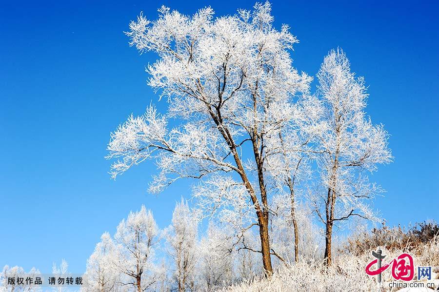  库尔滨水库的水电站每天发电都要释放摄氏零度以上的水，河水常年不冻，形成了浓浓的雾气。每年冬季，大量的雾气和冷空气融合交锋，便形成了壮观的仿若童话世界的雾凇奇景。中国网图片库 韩加君/摄