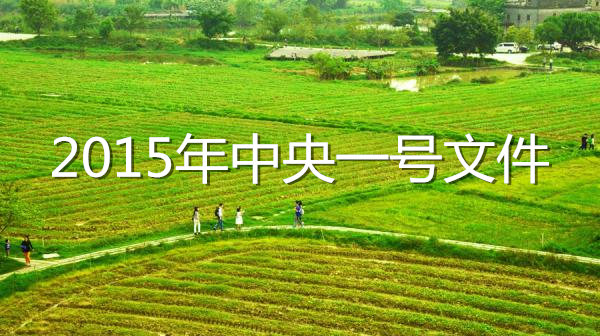 新一轮农村土地改革的重点和方向_中国发展门