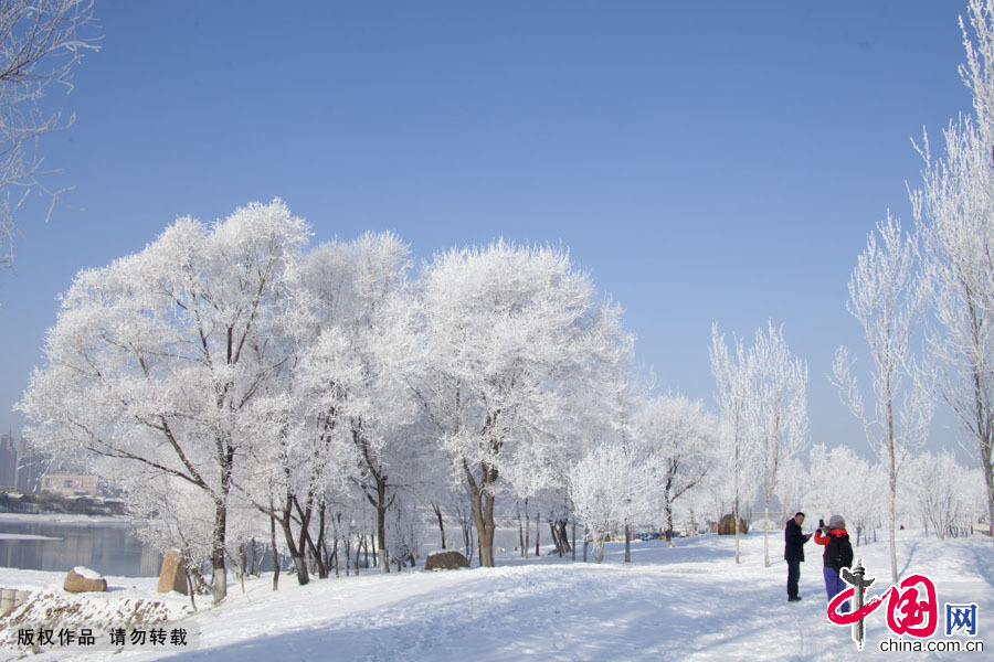 2015年3月11日，吉林省吉林市松花江畔再次出现婀娜多姿的雾凇景观，一位游客拿出手机拍照留念。