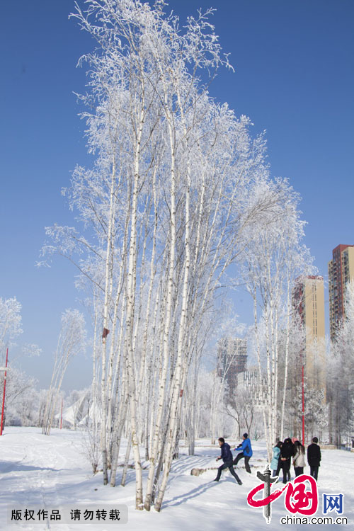 2015年3月11日，吉林省吉林市松花江畔再次出现婀娜多姿的雾凇景观，市民在美景中嬉戏。