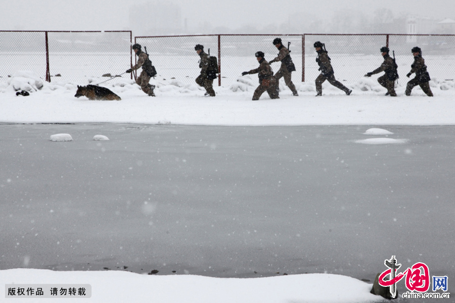2013年4月14日，军犬“大宝”和“黑河好八连”哨兵冒着鹅毛大雪巡逻在边境线上。