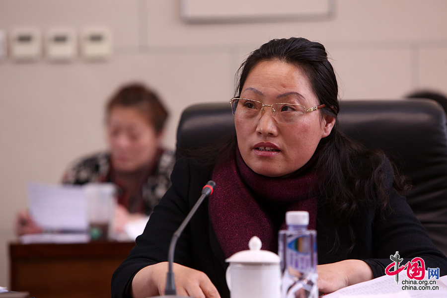 一名基层代表“痛并快乐着”的履职