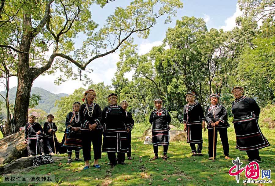 布农族人有着丰富的想象力，在他们的文化体系中小米有灵魂、有五官、可移动，因此对它特别敬重。亦有父粟与子粟之分。父粟有五个耳朵，管理子粟的成长（粟：小米）。