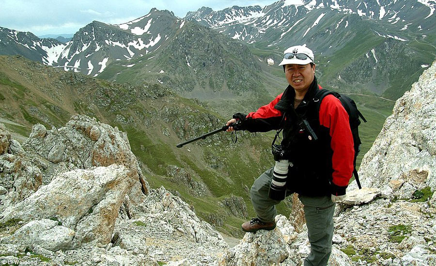 萌物伊犁鼠兔时隔20年再次现身中国 比大熊猫稀有