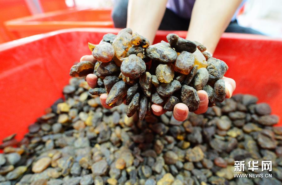 （城乡热点）（4）“疯狂”的琥珀——价格疯涨 造假乱象丛生