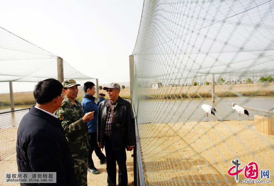 2015年4月23日，江苏盐城边防支队官兵与丹顶鹤“共舞”。中国网图片库 章善玉摄影