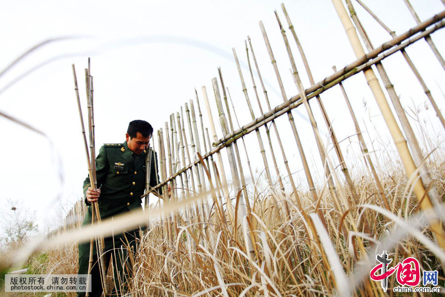 2015年4月23日，江苏盐城边防支队官兵与丹顶鹤“共舞”。中国网图片库 章善玉摄影