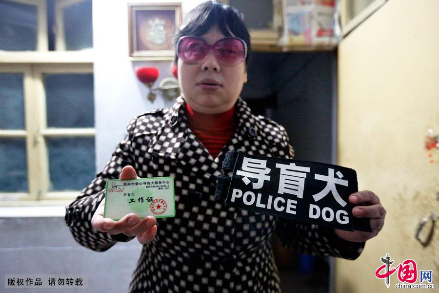 【中国故事】你是我的眼：导盲犬的故事