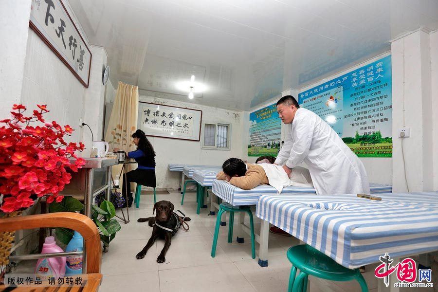 【中国故事】你是我的眼：导盲犬的故事