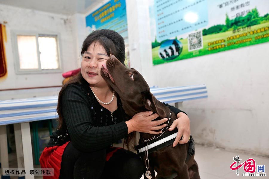 【中国故事】你是我的眼：导盲犬的故事