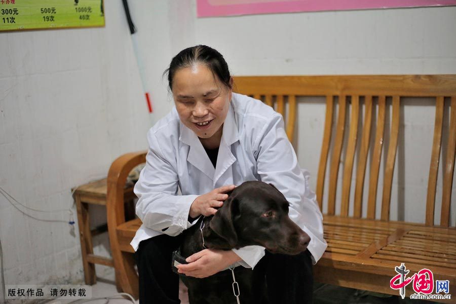 【中国故事】你是我的眼：导盲犬的故事