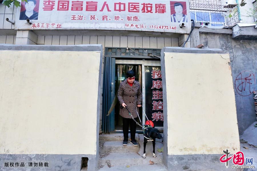【中国故事】你是我的眼：导盲犬的故事