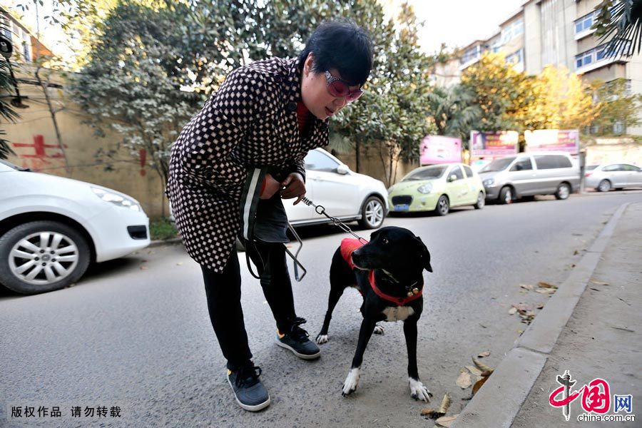 【中国故事】你是我的眼：导盲犬的故事