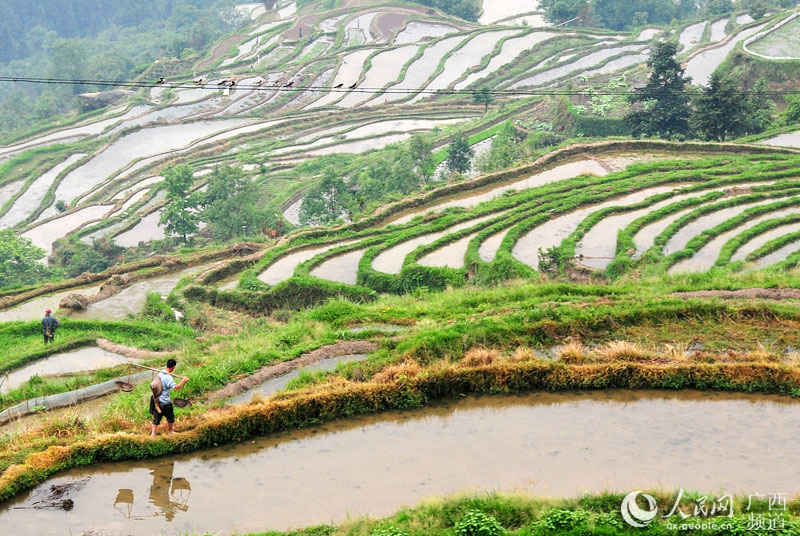 立夏时节农事忙 全国各地春耕扫描(高清组图)_