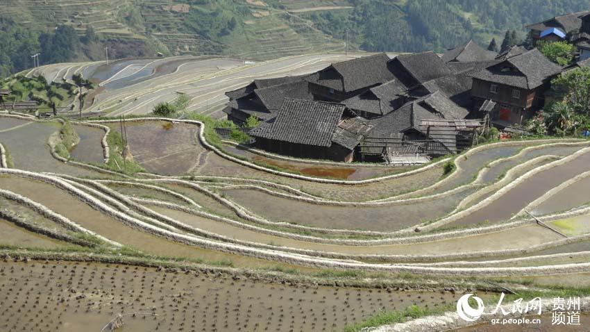 贵州月亮山，梯田、木屋，构成一幅别样的乡村春耕景画。 梁雨 摄