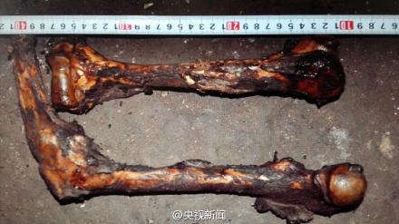 云南破获“猎杀大熊猫案” 查获熊猫皮一张肉9.75公斤