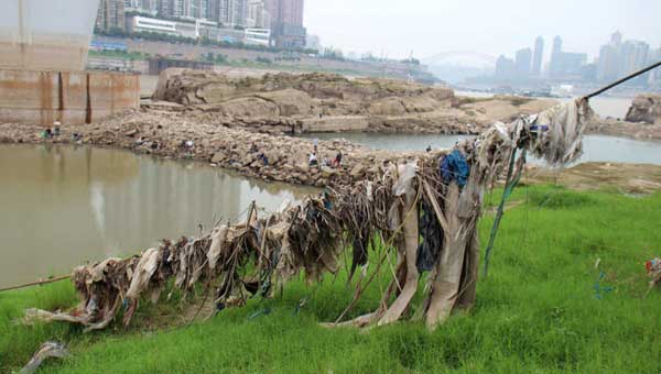 长江消落带突显 生态危机严重