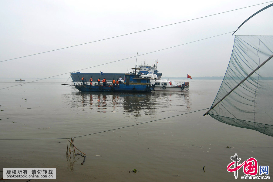 6月9日，当地海事、渔政及长航公安等多部门在长江搜寻“东方之星”游船上的失踪人员。中国网图片库 洪永林摄