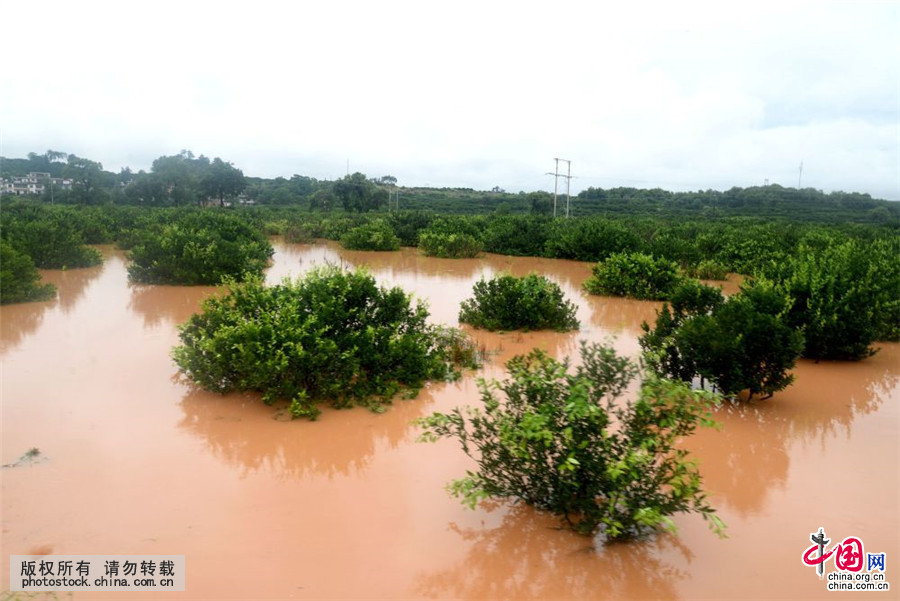 江西南丰遭受暴雨袭击_中国发展门户网-国家发