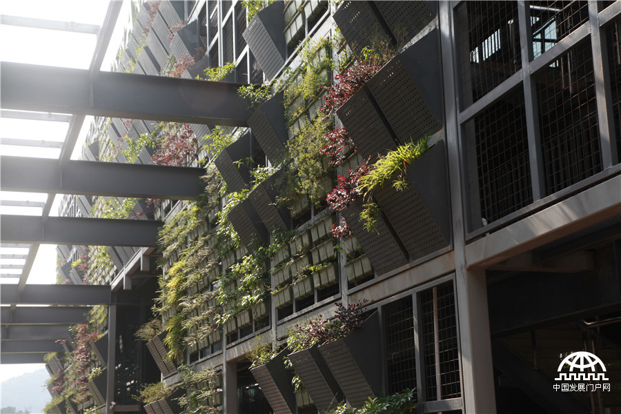 深圳绿色低碳发展的名片：深圳国际低碳城