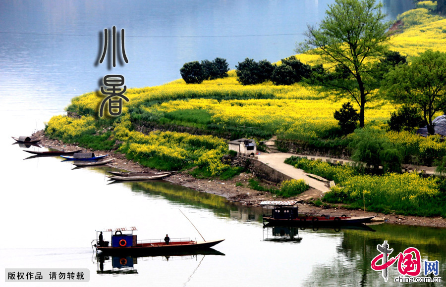 24节气小暑:少动多静 饮食需清淡【组图】