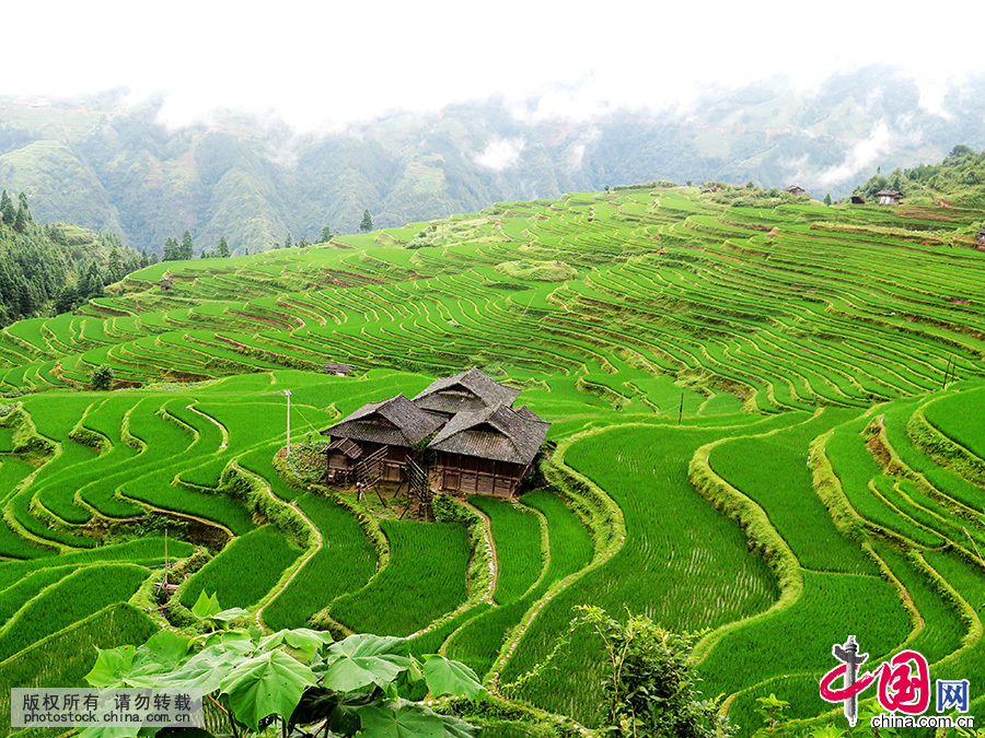 24节气小暑：少动多静 饮食需清淡【组图】