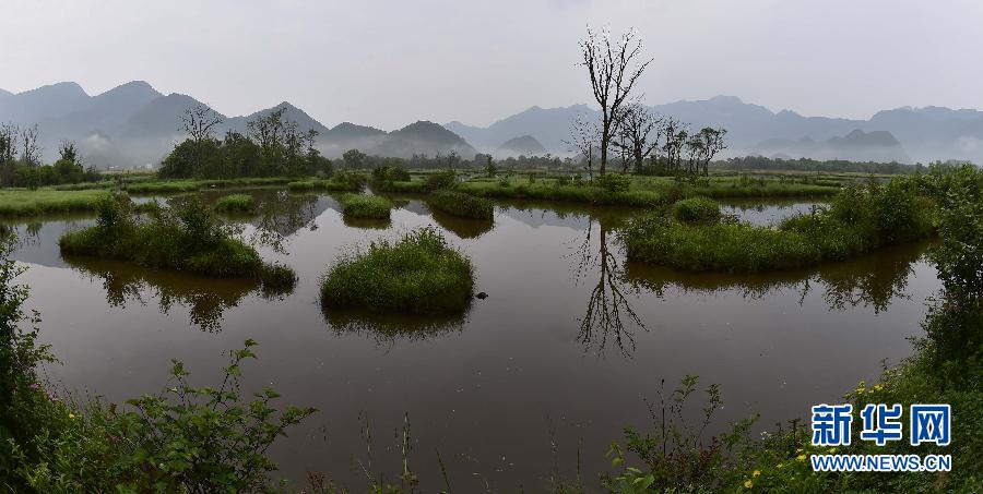 （美丽中国）（1）高山湿地大九湖风光
