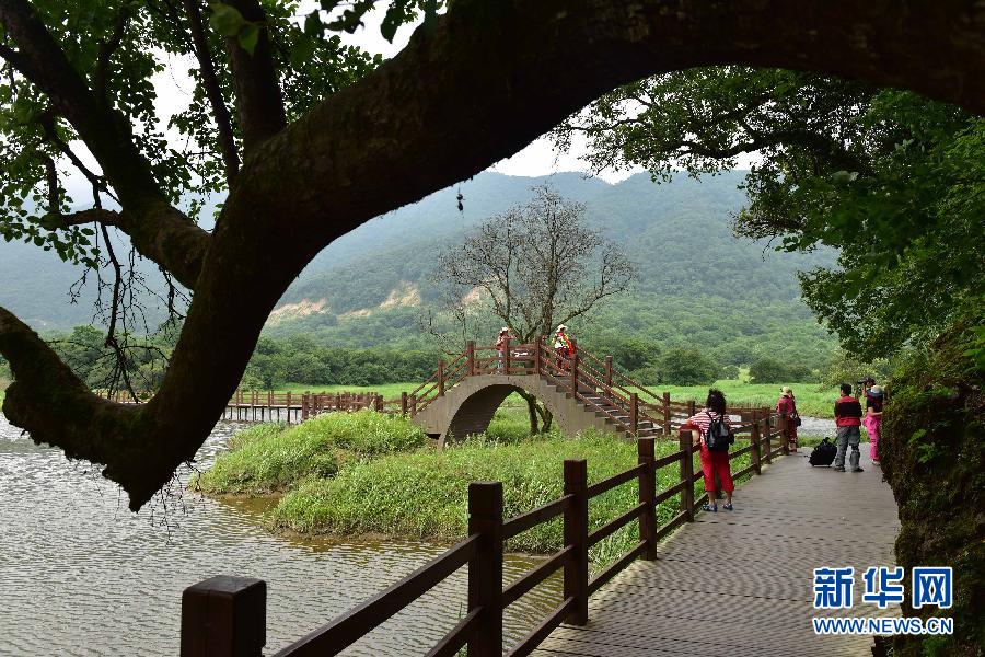 （美丽中国）（3）高山湿地大九湖风光