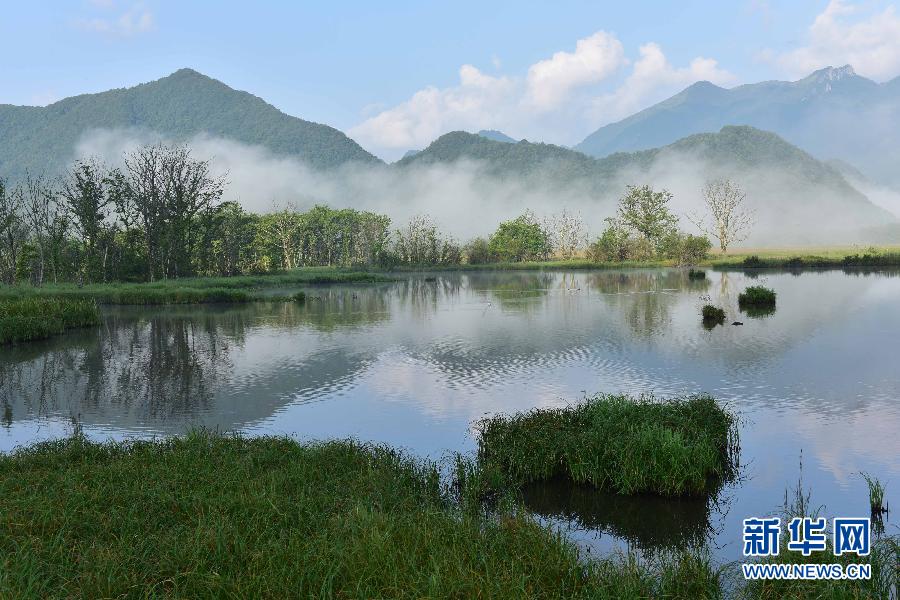 （美丽中国）（4）高山湿地大九湖风光