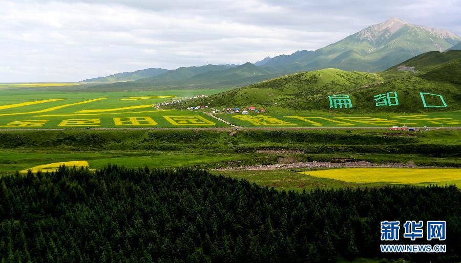 #（美丽中国）（6）甘肃民乐油菜花海燃情盛夏