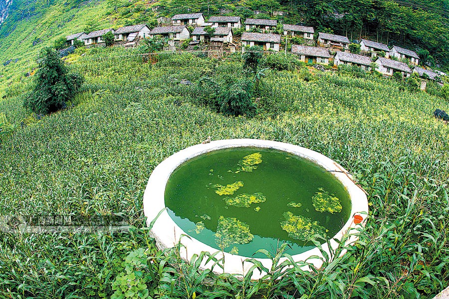 直擊廣西扶貧最前沿：望聞問切探究“窮根”(圖)