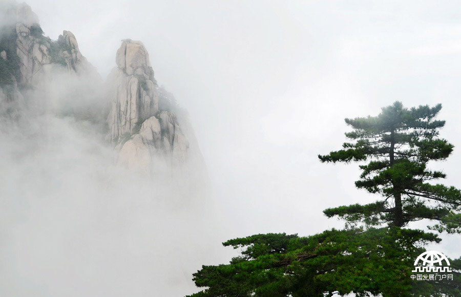 安徽：雾朦胧雨朦胧 秋日黄山诗意浓【组图】