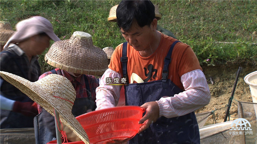 致富经泥鳅_致富泥鳅养殖技术_致富经养泥鳅视频播放