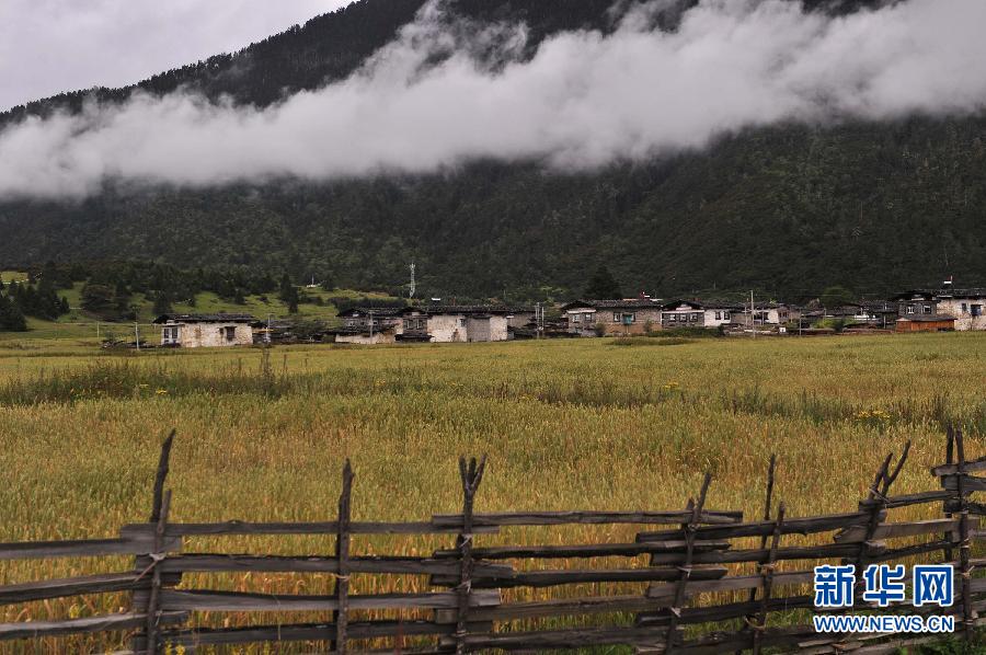 （辉煌50年·大美新西藏·图文互动）（8）西藏：绿水青山无忧 雪域圣洁依旧