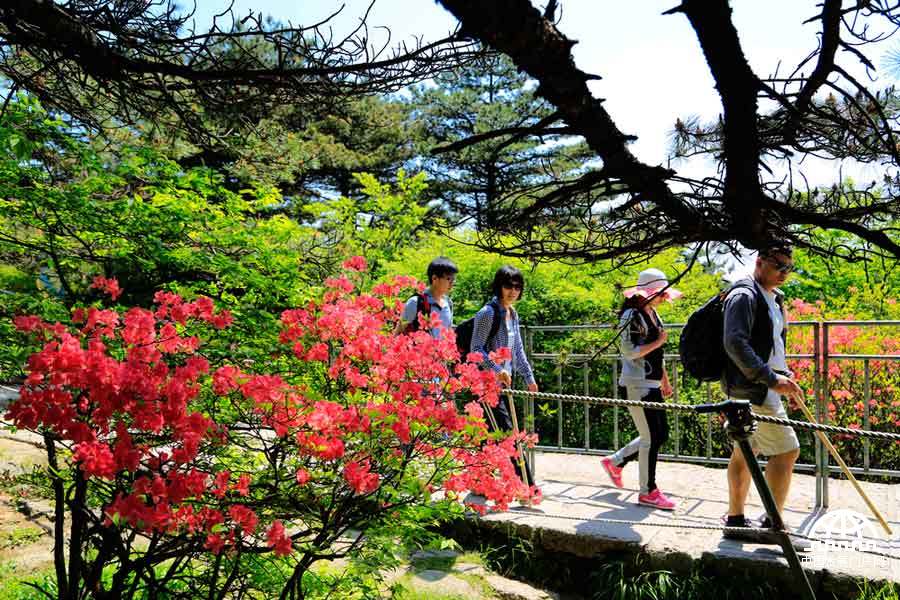 黄山跻身“中国最美十大名山”