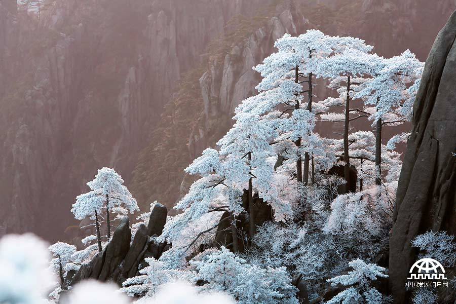 黄山跻身“中国最美十大名山”