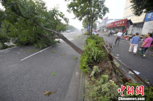 扬州遭遇强对流天气 多地一片狼藉居民称太恐怖(图)