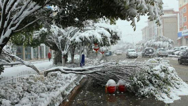 金秋哈密降大雪[组图]